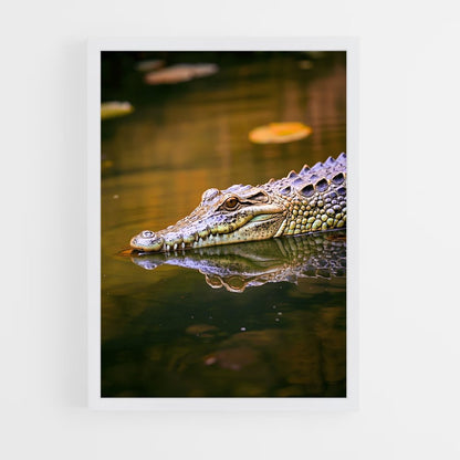 crocodile-2 cadre Blanc