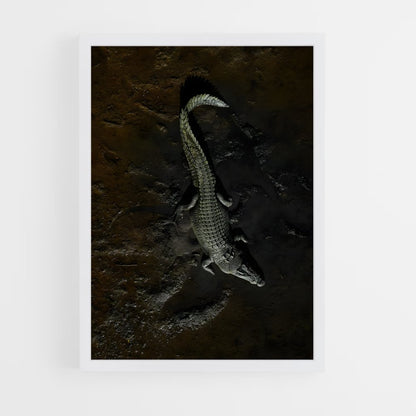crocodile-5 cadre Blanc