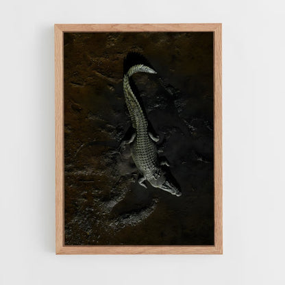crocodile-5 cadre Bois clair