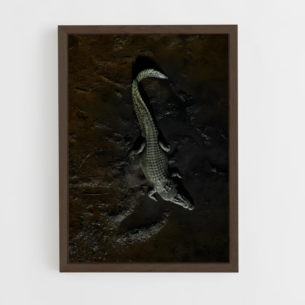 crocodile-5 cadre Bois foncé