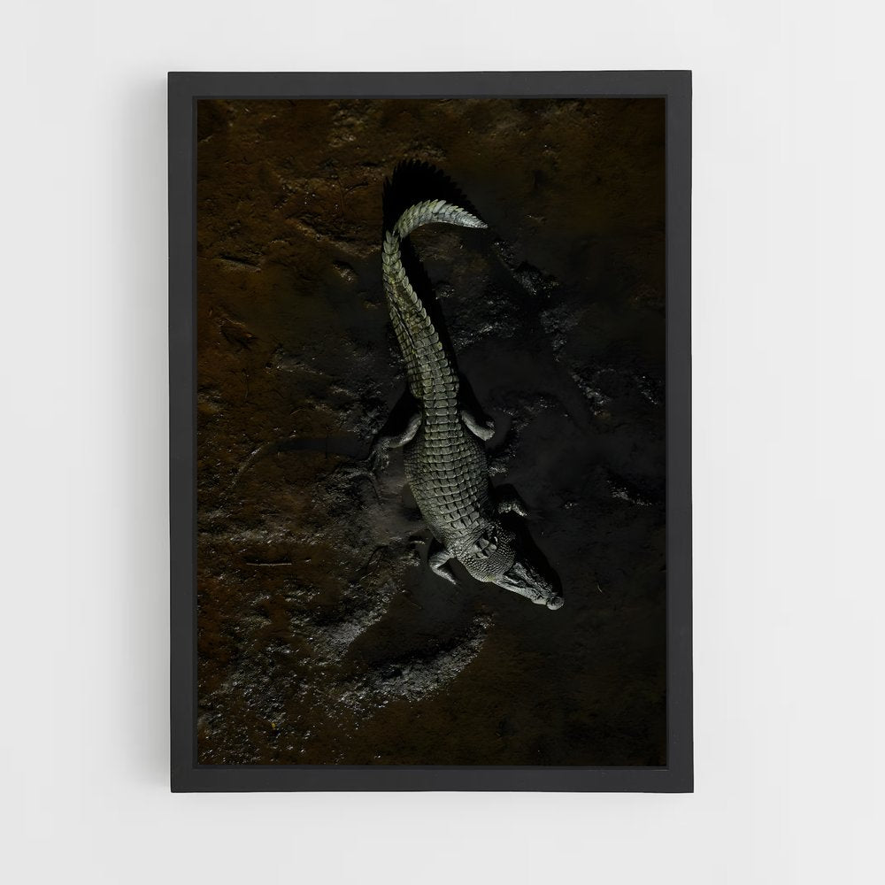 crocodile-5 cadre Noir
