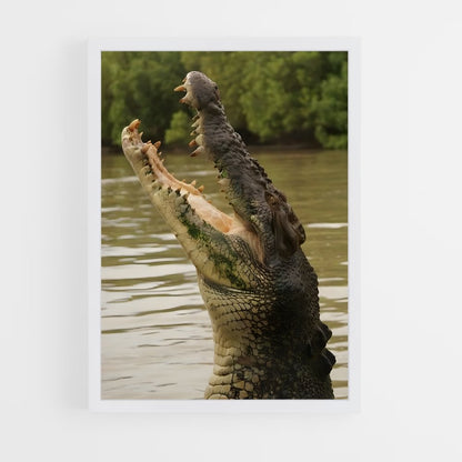 crocodile-6 cadre Blanc