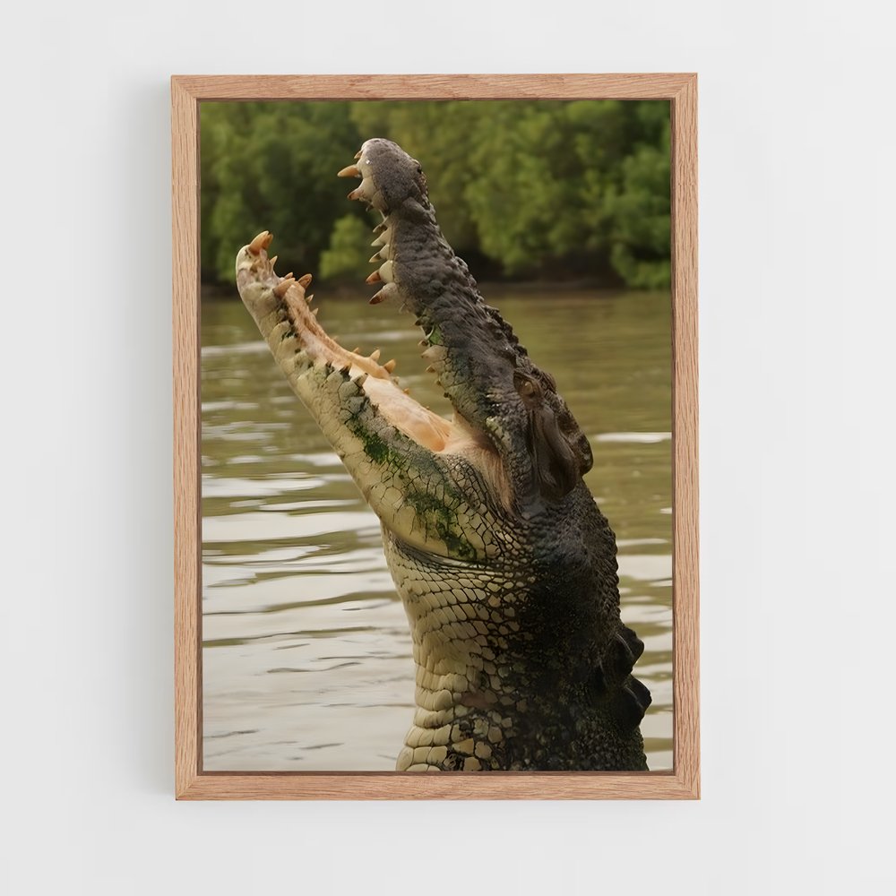 crocodile-6 cadre Bois clair
