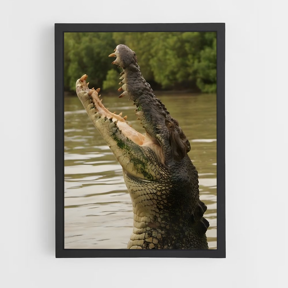crocodile-6 cadre Noir