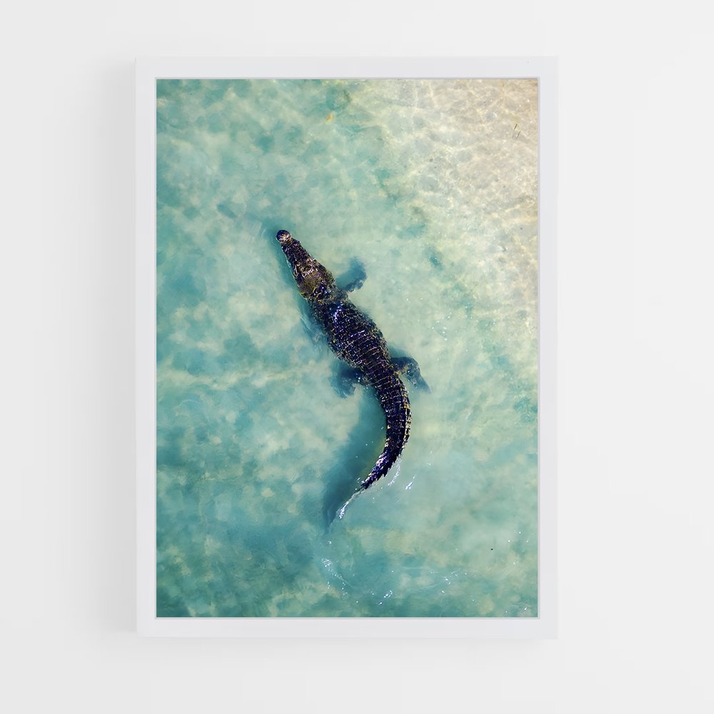 crocodile-7 cadre Blanc