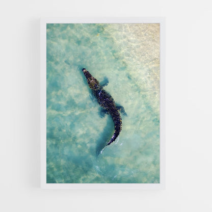 crocodile-7 cadre Blanc