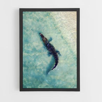 crocodile-7 cadre Noir