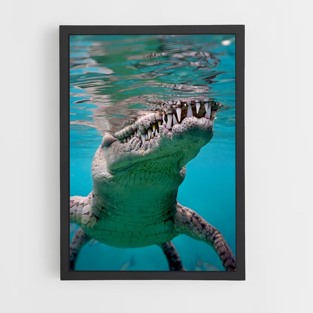 crocodile-8 cadre Noir
