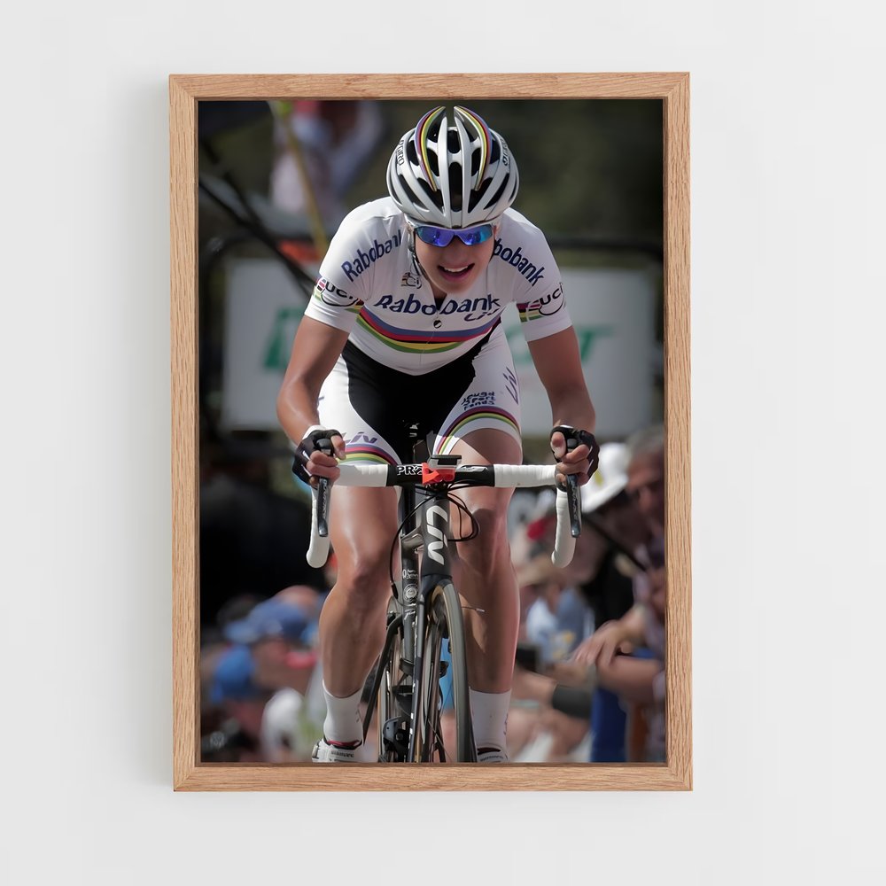 cyclism-1 cadre Bois clair