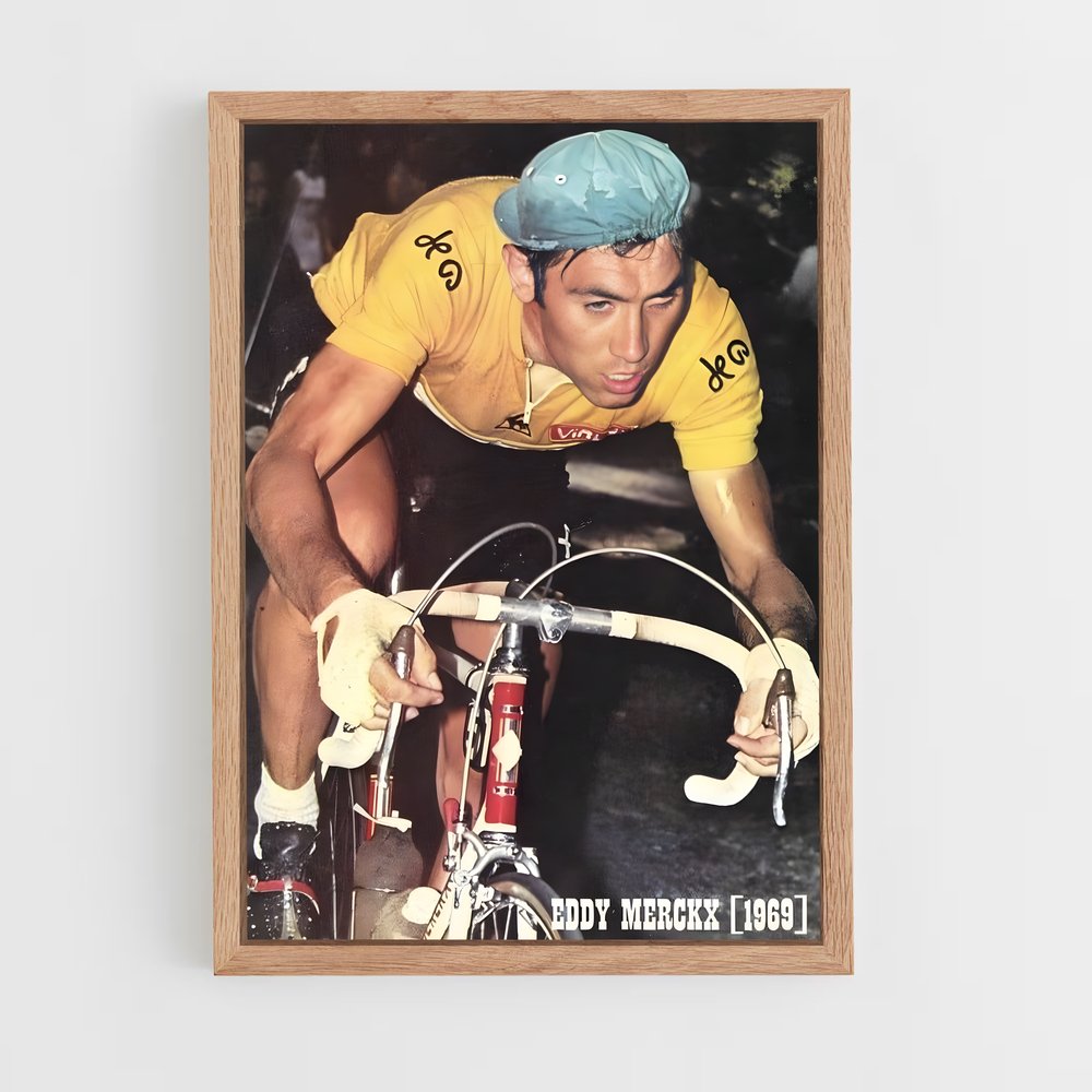 cyclism-14 cadre Bois clair