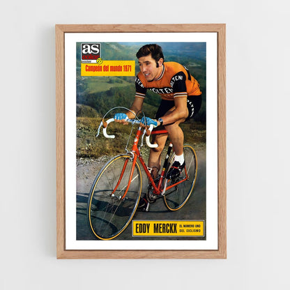 cyclism-15 cadre Bois clair