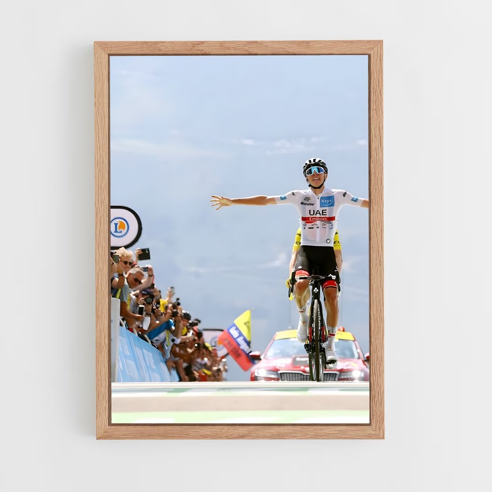 cyclism-3 cadre Bois clair