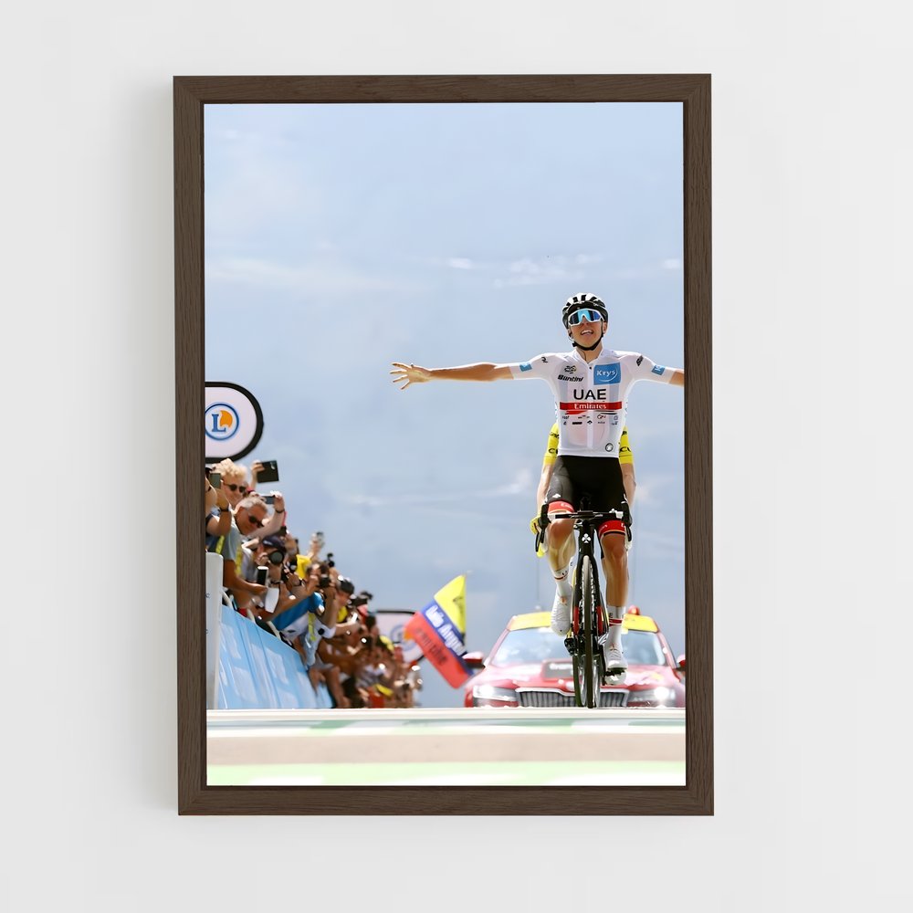 cyclism-3 cadre Bois foncé