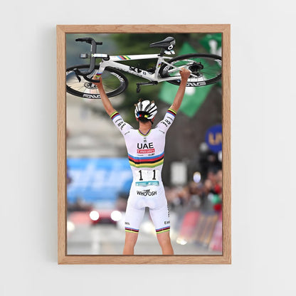 cyclism-5 cadre Bois clair