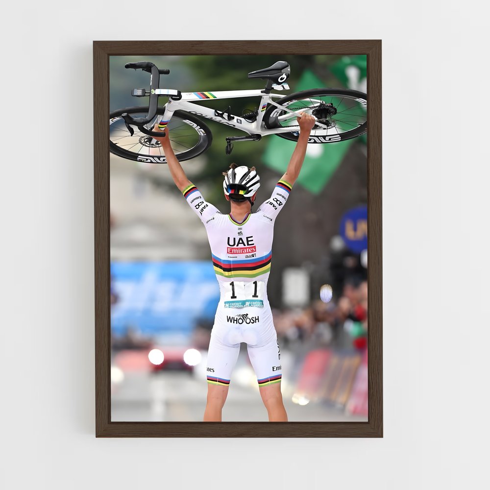 cyclism-5 cadre Bois foncé