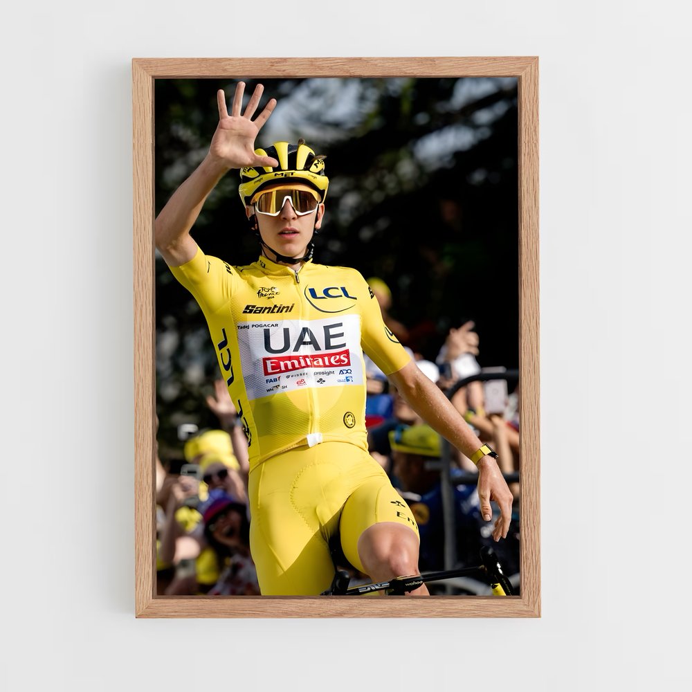 cyclism-6 cadre Bois clair