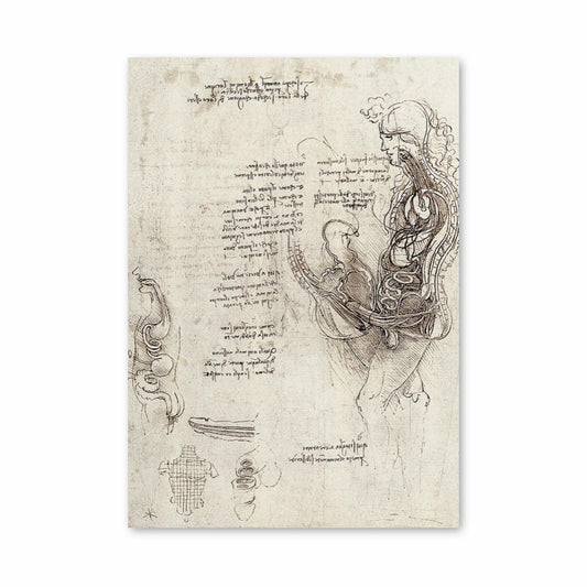 Poster De Vinci Reproduction
