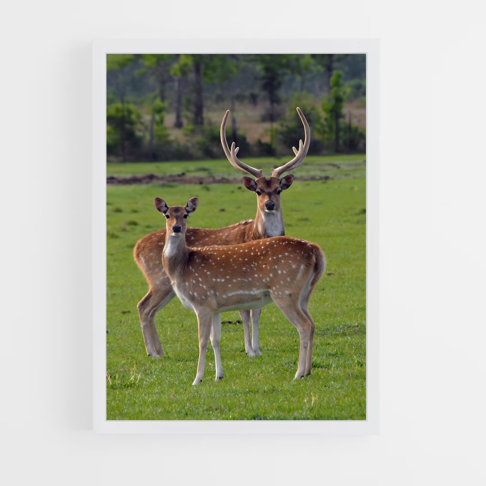 deer-2 cadre Blanc