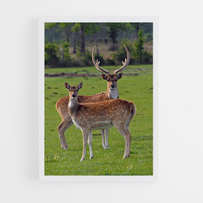 deer-2 cadre Blanc