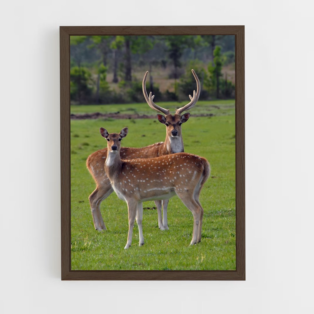 deer-2 cadre Bois foncé