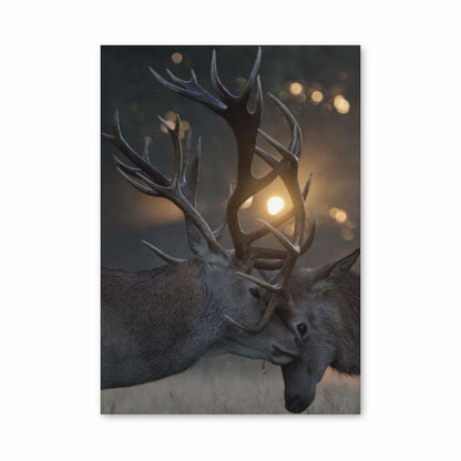 Deer Fighting Poster