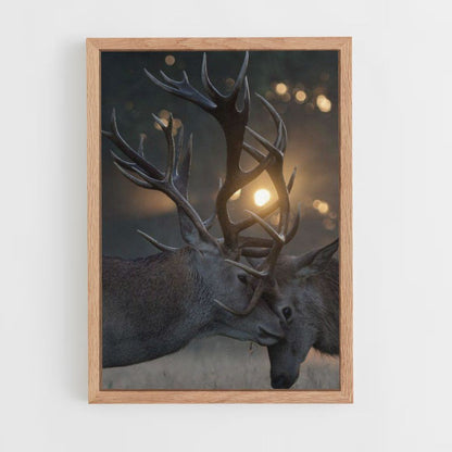 Deer Fighting Poster