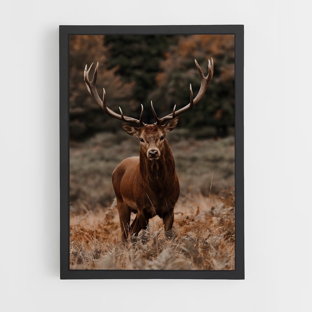 deer-4 cadre Noir