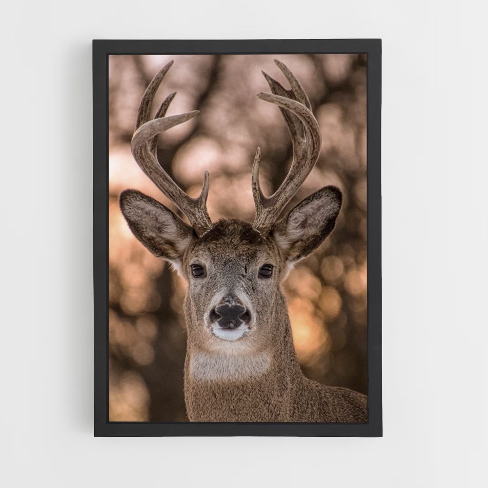 Cute Deer Poster