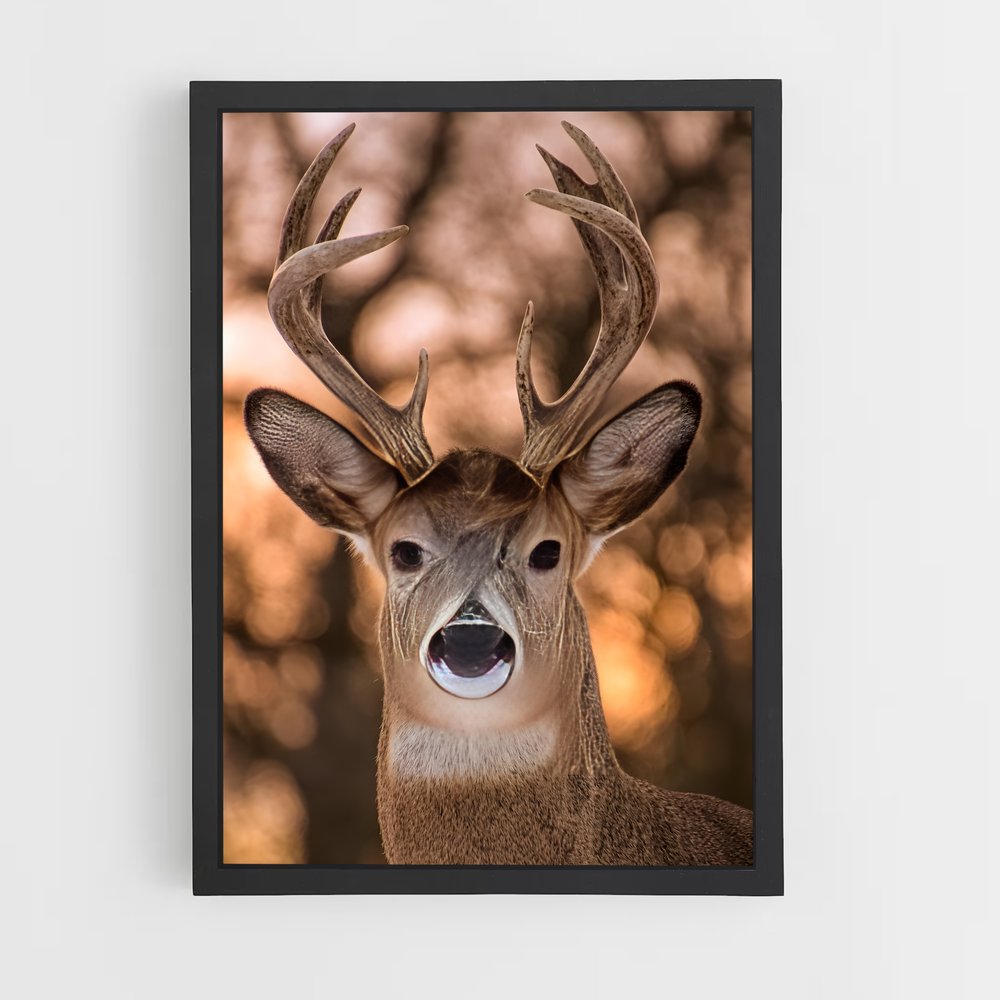 deer-5 cadre Noir