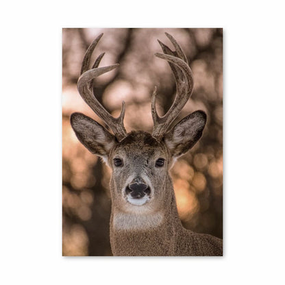 Cute Deer Poster