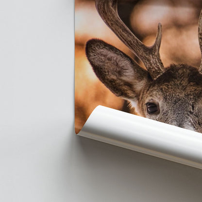 Cute Deer Poster