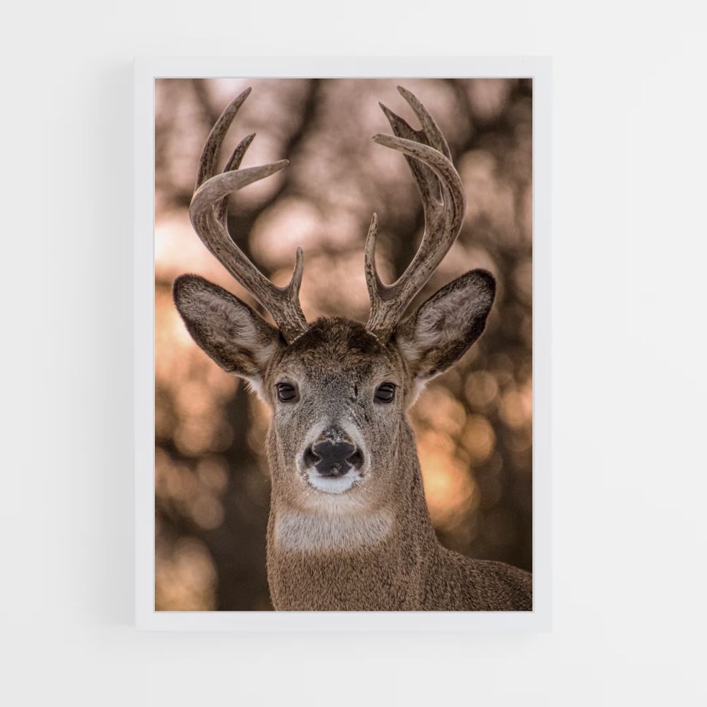 Cute Deer Poster