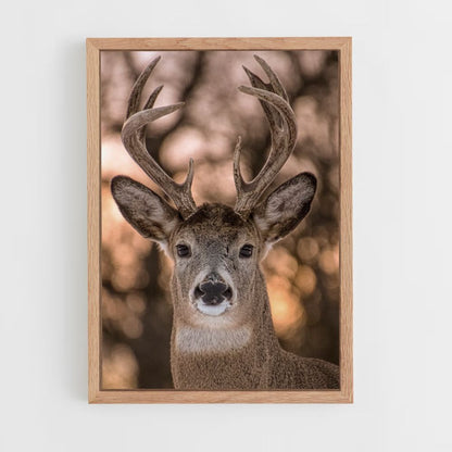 Cute Deer Poster