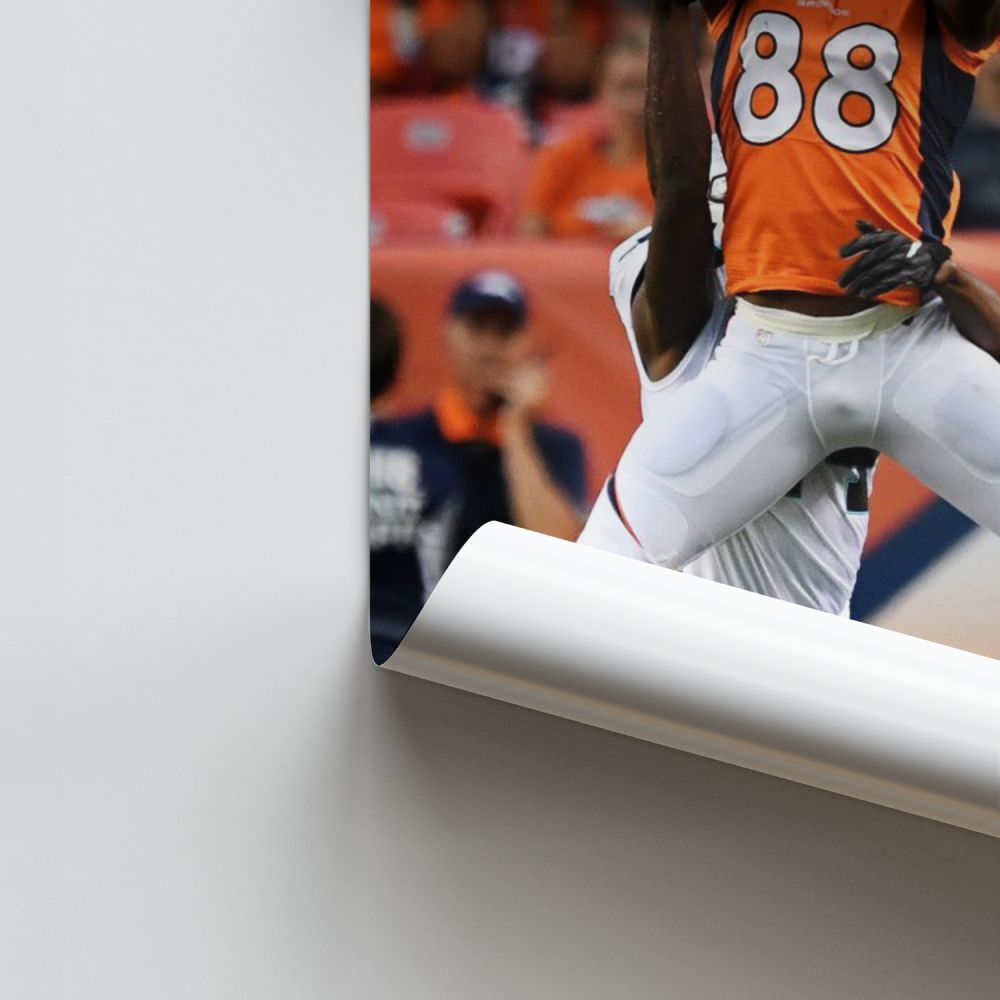 Denver Broncos Receiver Poster