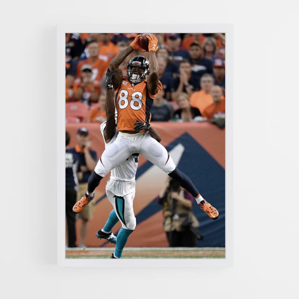 Denver Broncos Receiver Poster