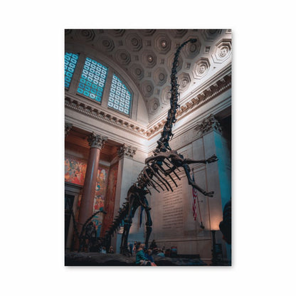 Diplodocus Skeleton Poster