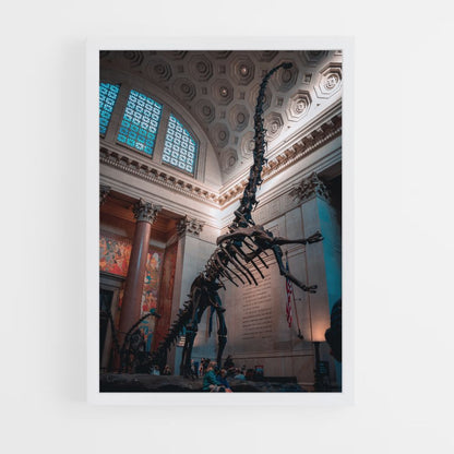 Diplodocus Skeleton Poster