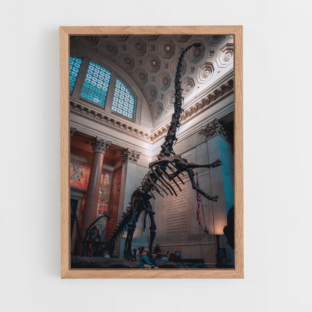 Diplodocus Skeleton Poster