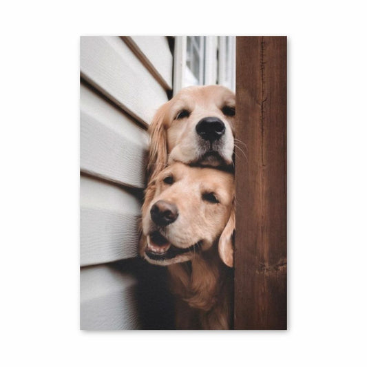 Cute Dogs Poster