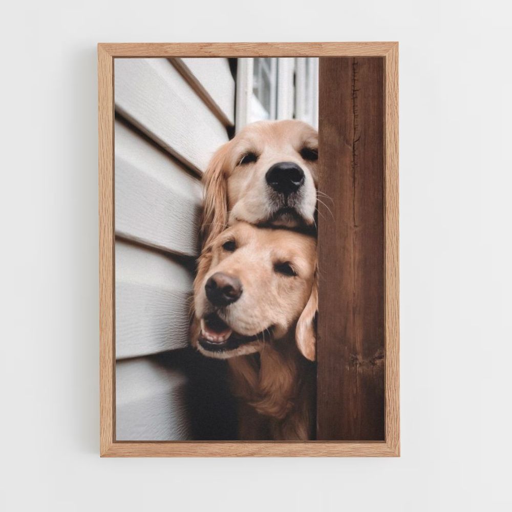 Cute Dogs Poster