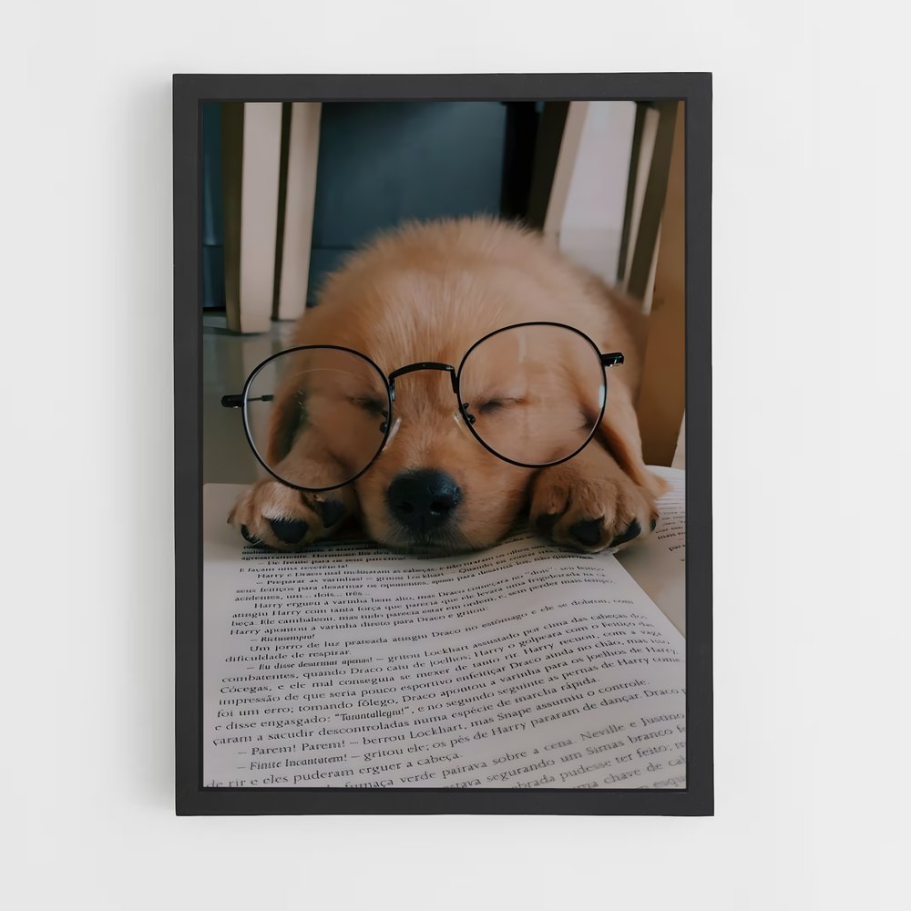 dog-2 cadre Noir