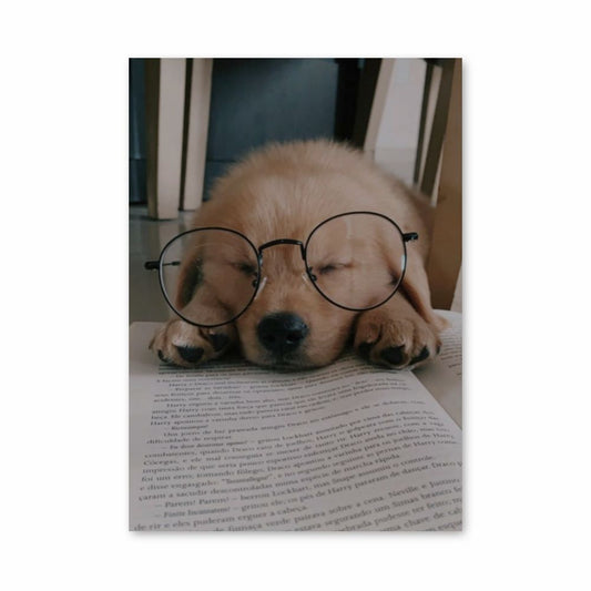 Dog Reading Poster