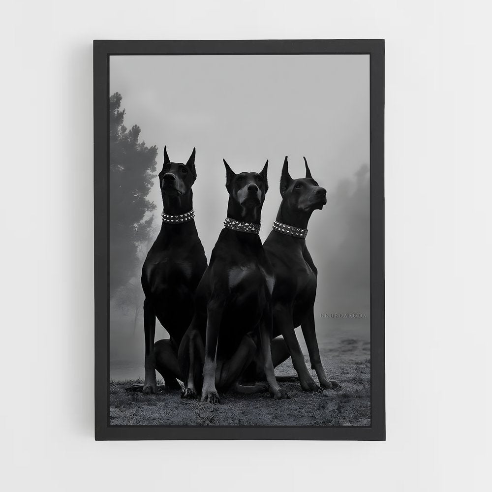 dog-3 cadre Noir