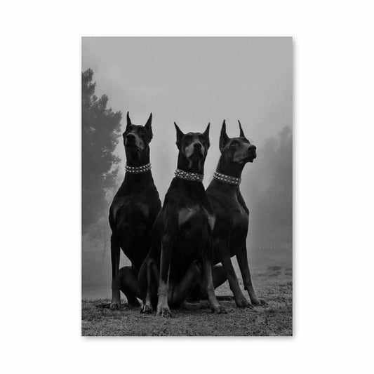 Doberman Poster