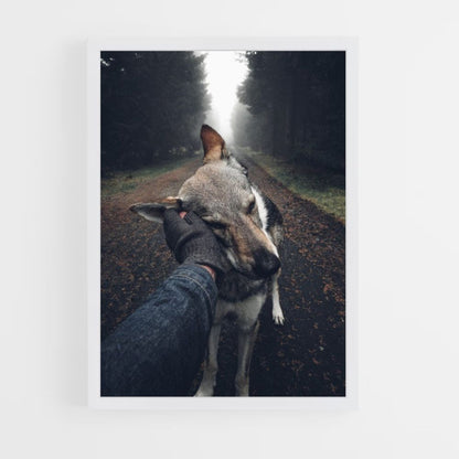 Forest Dog Poster