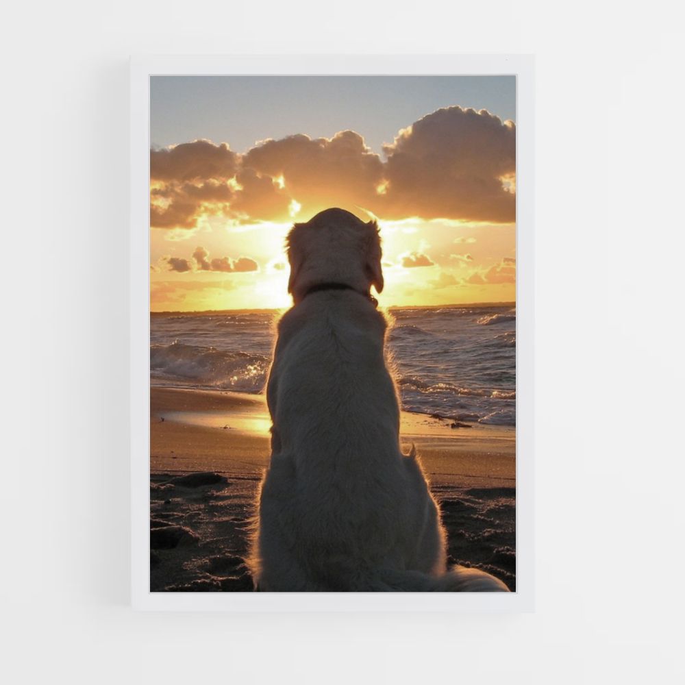 Dog Beach Poster