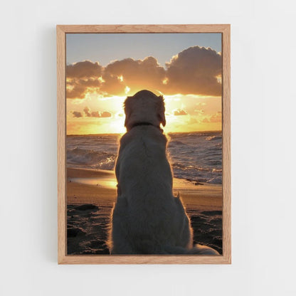 Dog Beach Poster