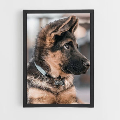 Adorable Dog Poster