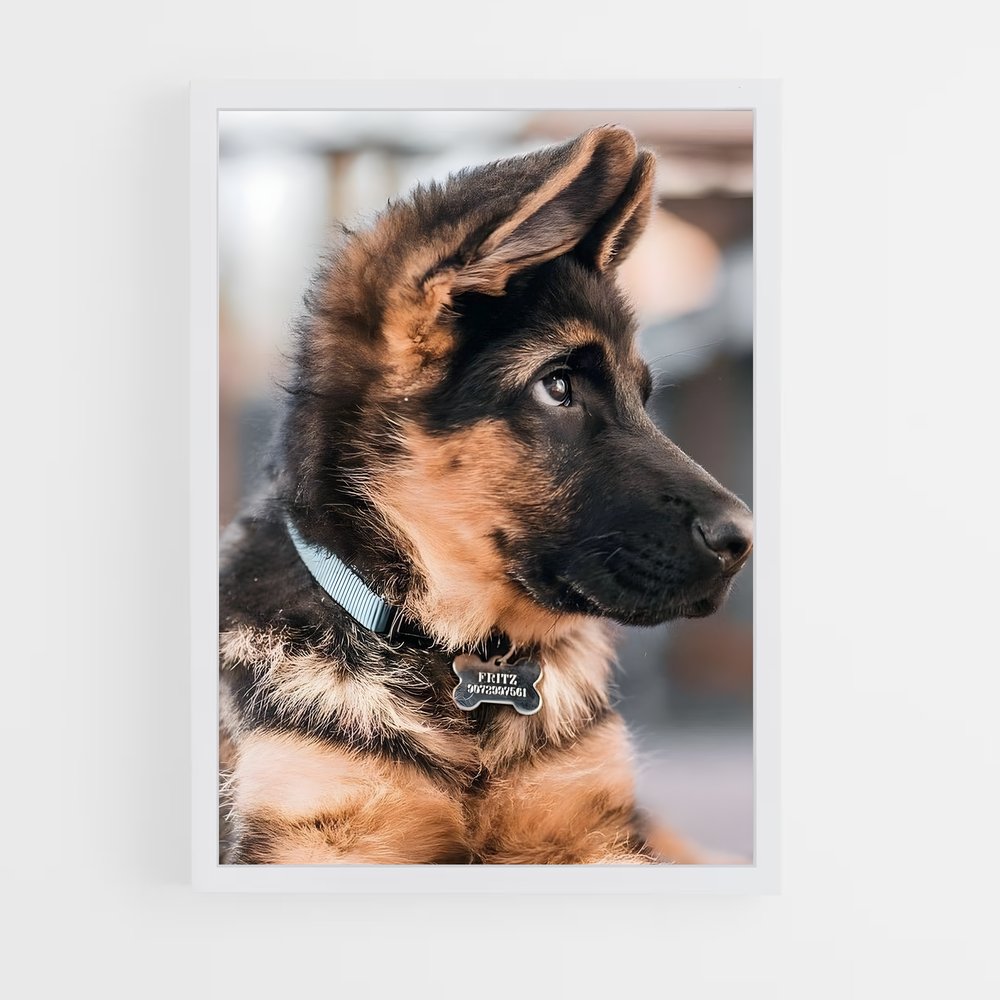dog-6 cadre Blanc
