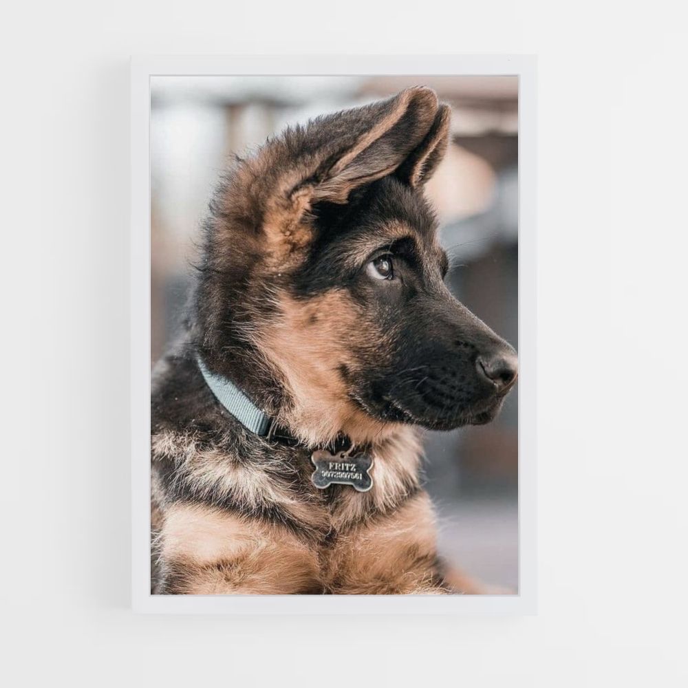 Adorable Dog Poster